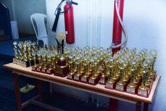imgi_10_annualday-2510